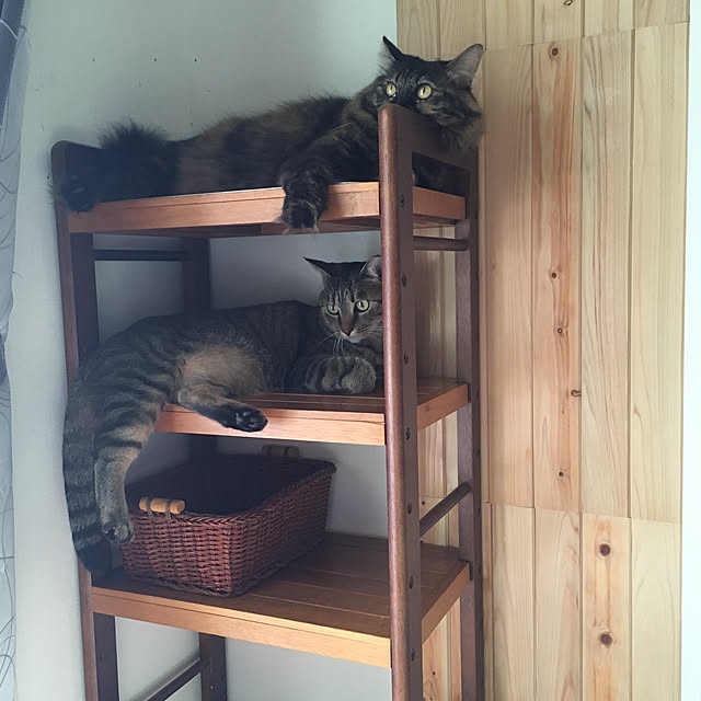 mikomaruさんの実例写真