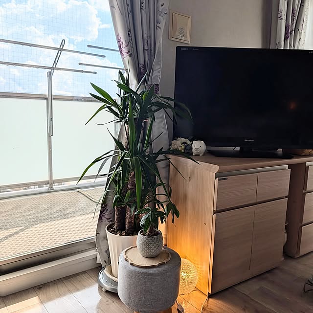 erisavesu4さんの実例写真