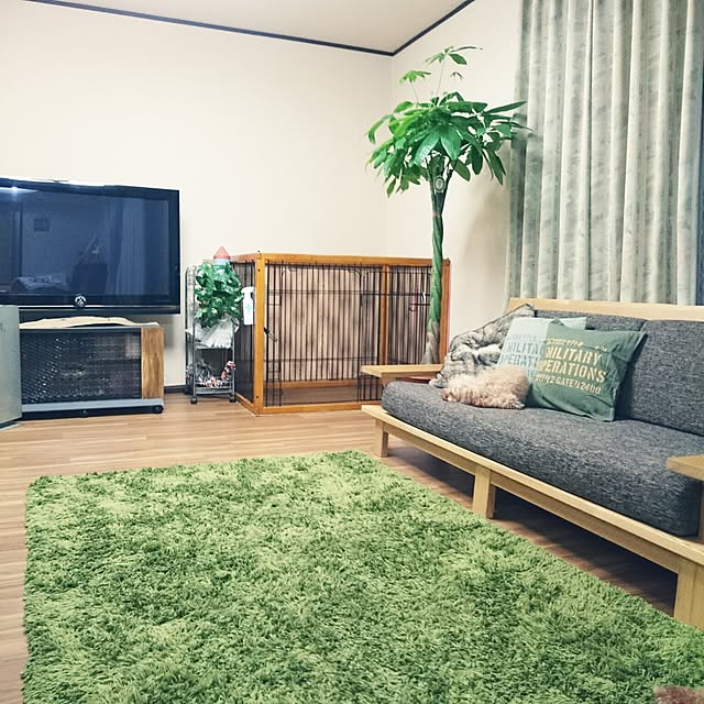 mcN59さんの実例写真