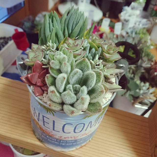 soaimさんの実例写真