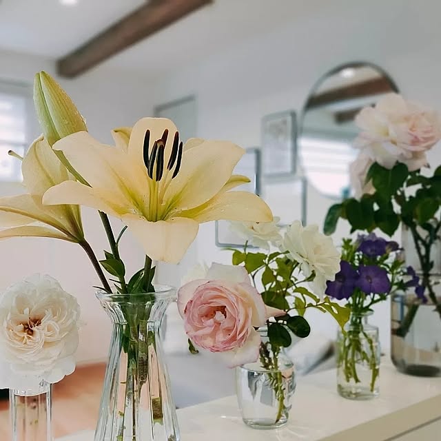 棚/ディスプレイコーナー/ガーデニング/植物のある暮らし/害虫対策...などのインテリア実例 - 2023-06-02 12:19:48