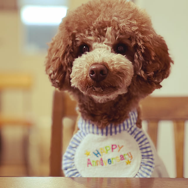 nanさんの実例写真