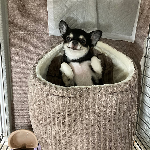 koroさんの部屋