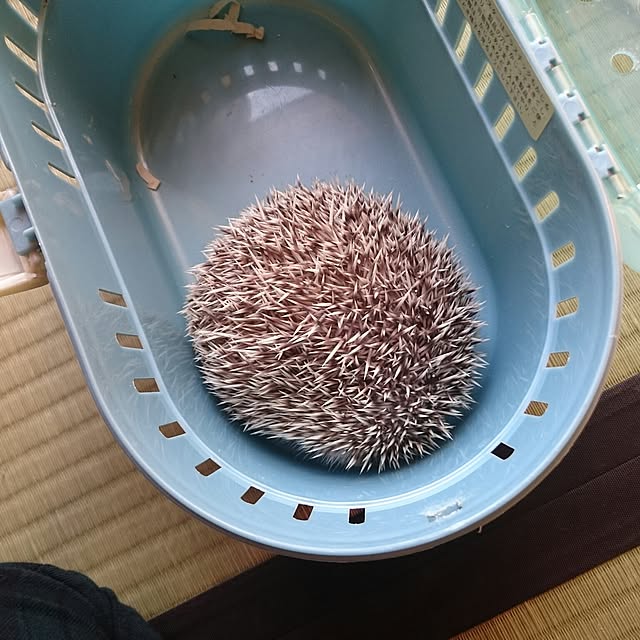 megmeg1450さんの実例写真
