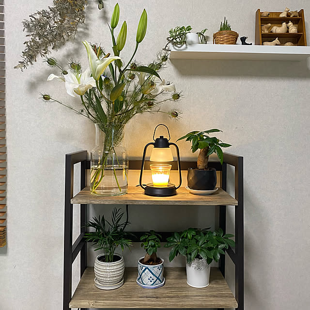 birdie0908さんの実例写真