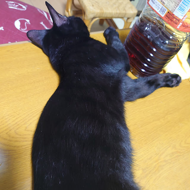 shinobuさんの実例写真