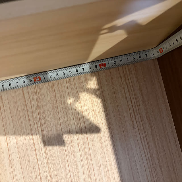 daisy2024springさんの部屋