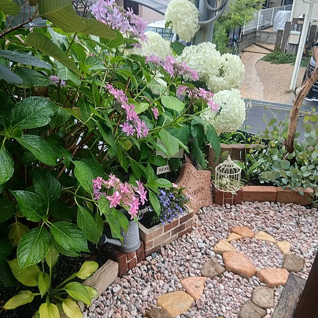 murasaki808さんの部屋