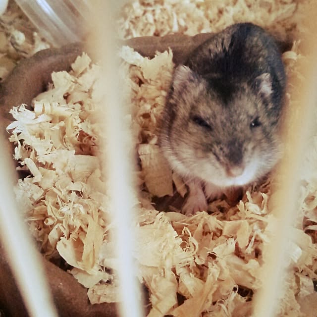 bitsさんの実例写真