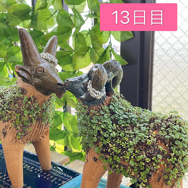 aureaさんの実例写真