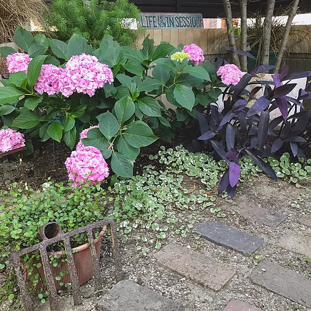 bibianさんの実例写真