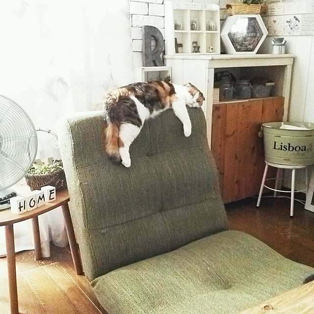 mikiさんの実例写真