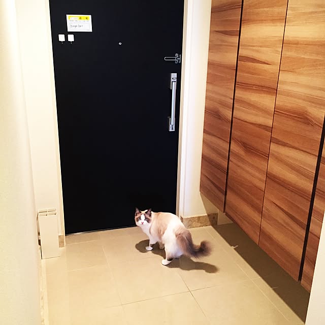 yaccoccoさんの実例写真