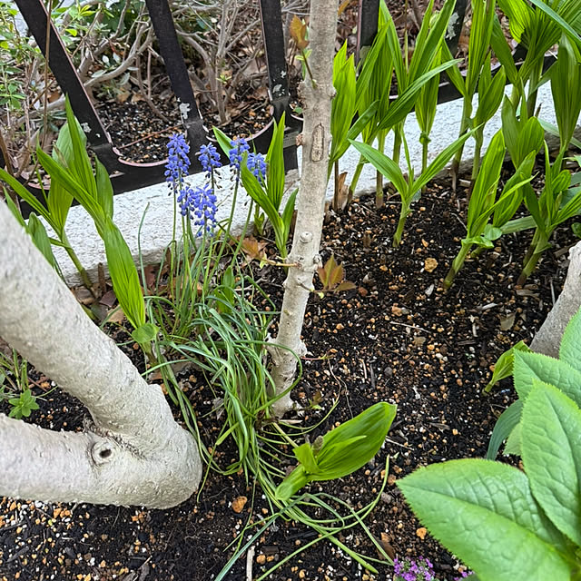 mamizaさんの部屋