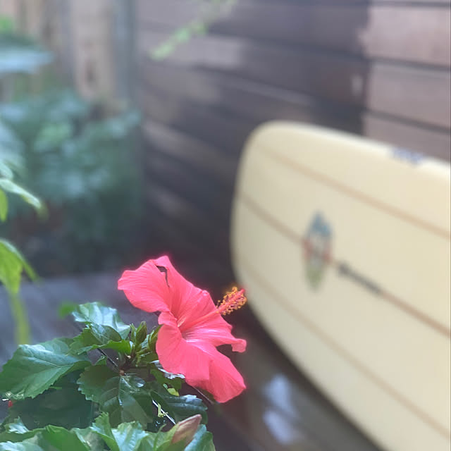 hiro1220さんの実例写真