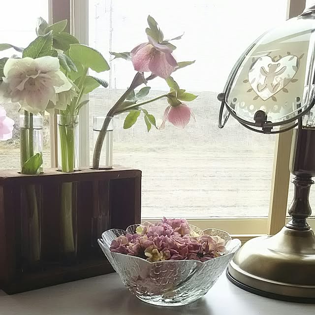 naopyiさんの実例写真