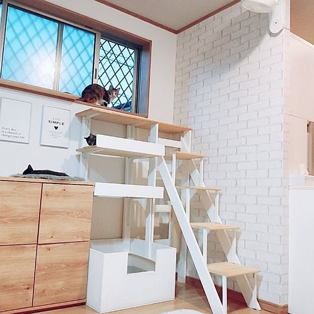 kirakirahikaruさんの部屋