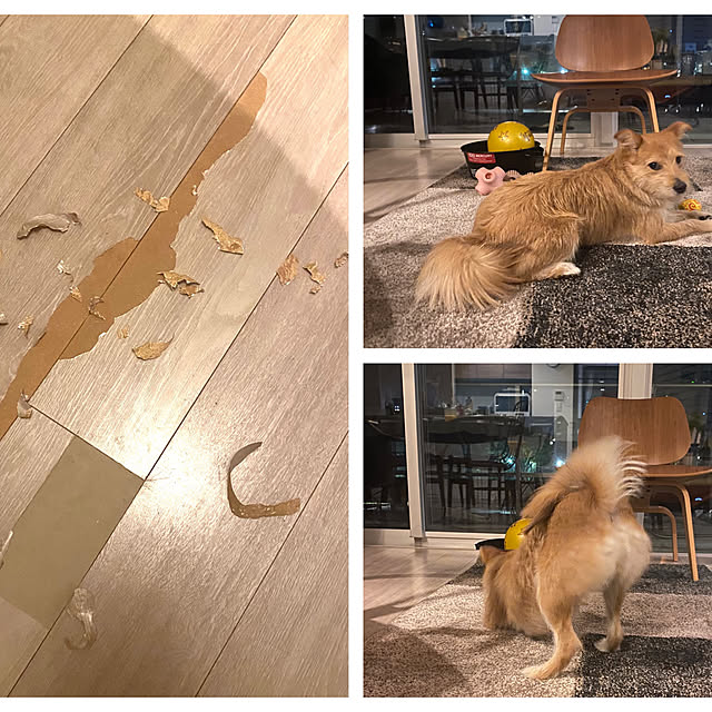 Yoheiさんの部屋