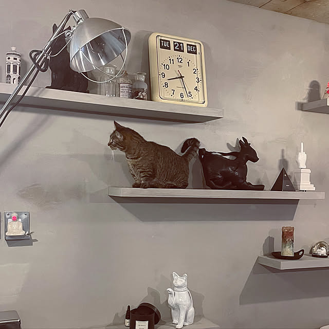 chihiroさんの実例写真