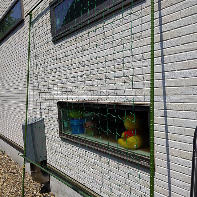 kikikikikiさんの実例写真