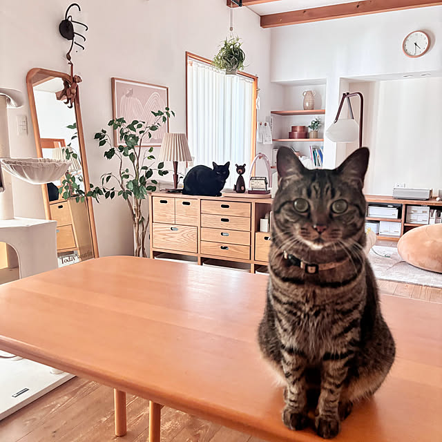puu.tuuliさんの部屋