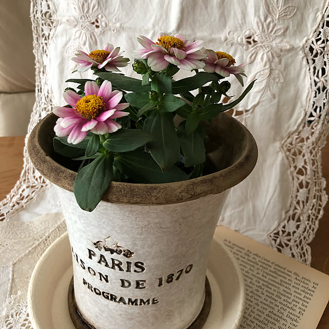 Chigusaさんの実例写真