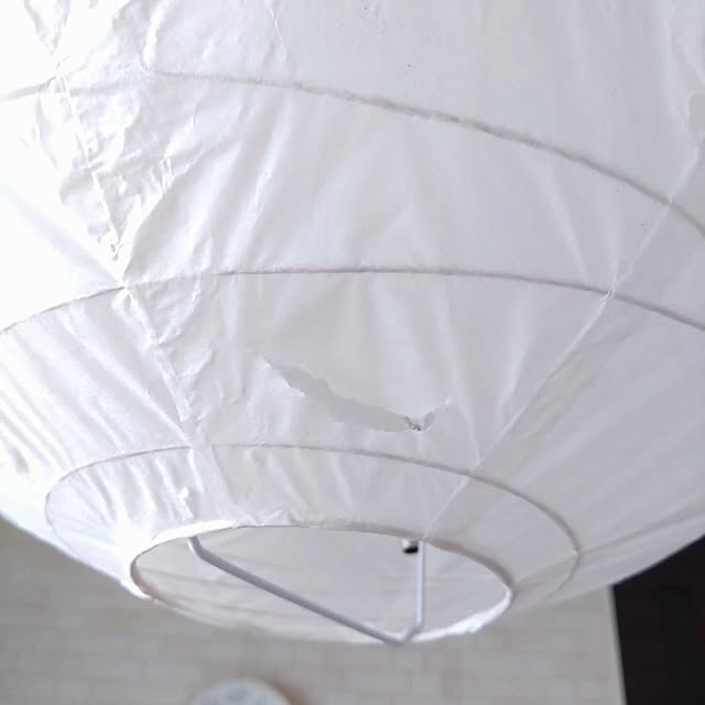 mn0116さんの部屋