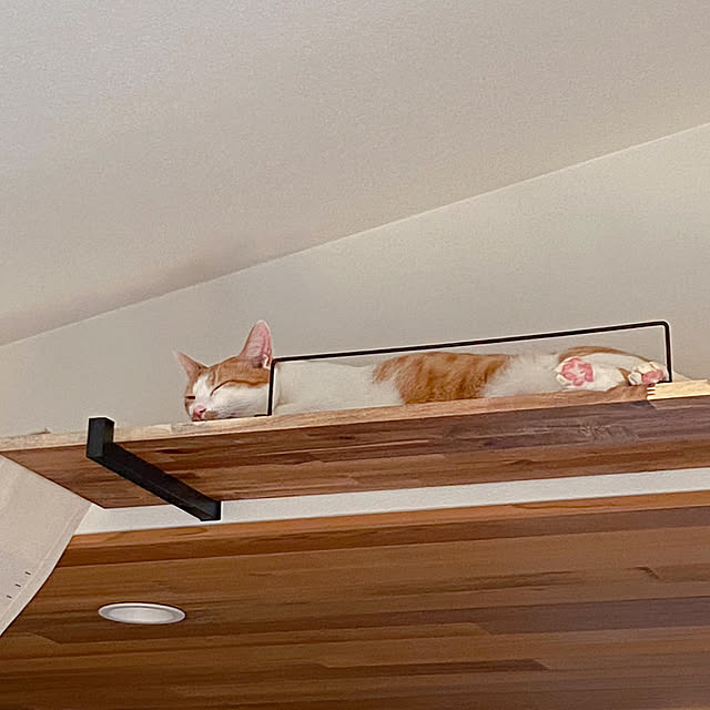 mochicoさんの部屋