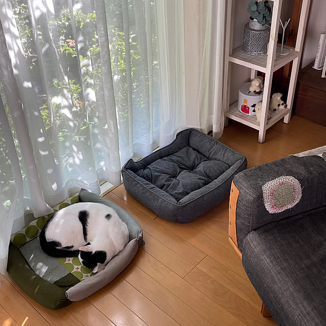 nobikoさんの部屋
