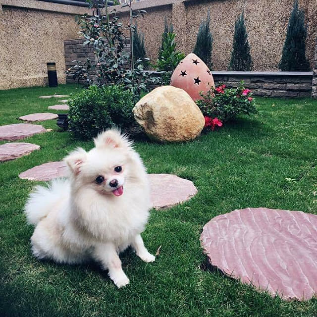 Sashaさんの実例写真