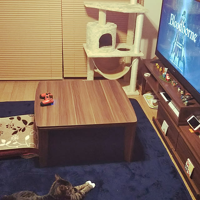 takami0501さんの実例写真