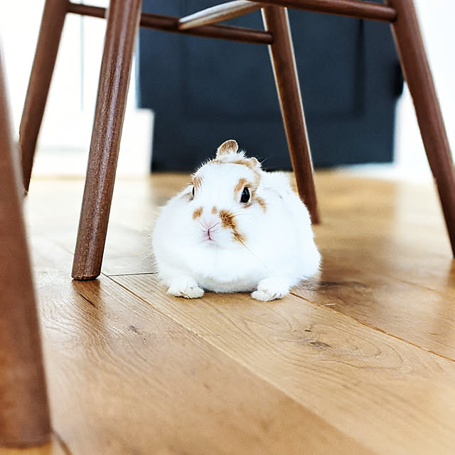 keikoさんの実例写真