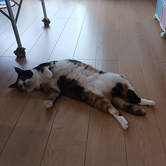 aiさんの部屋