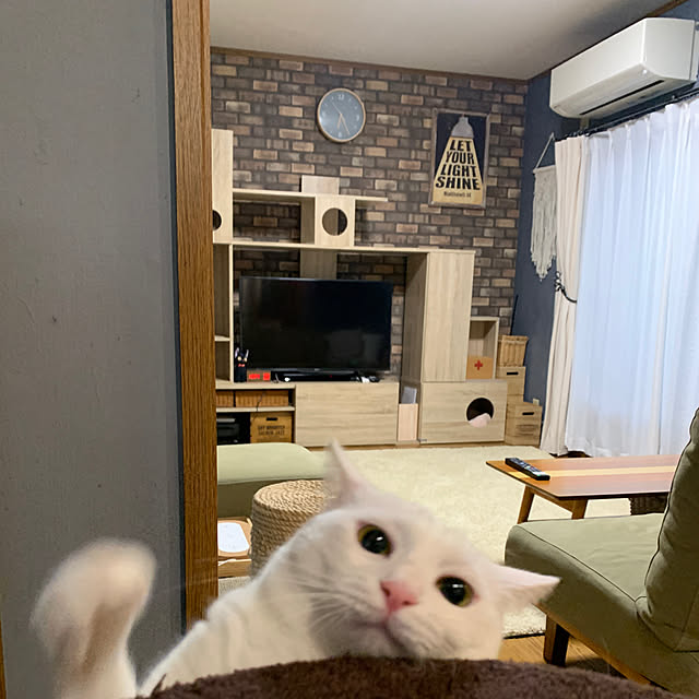 keiさんの実例写真