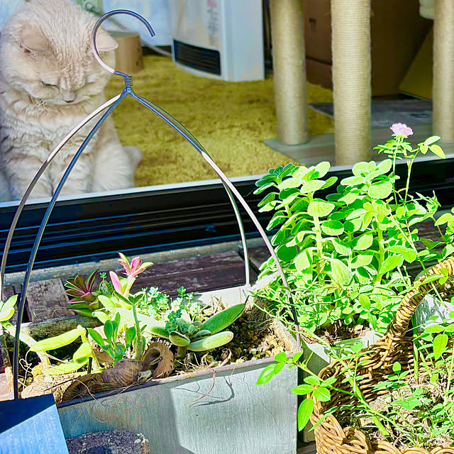 naokoさんの部屋