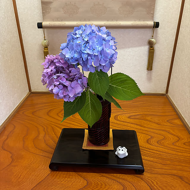 chIoeさんの部屋