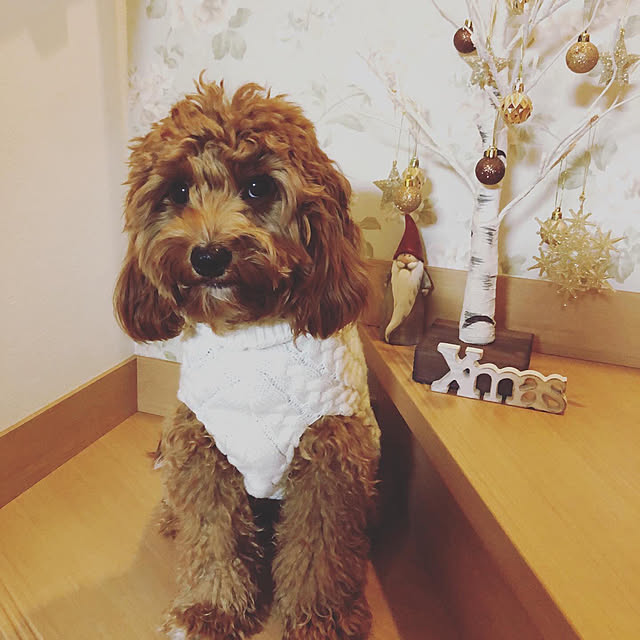 na-miさんの実例写真