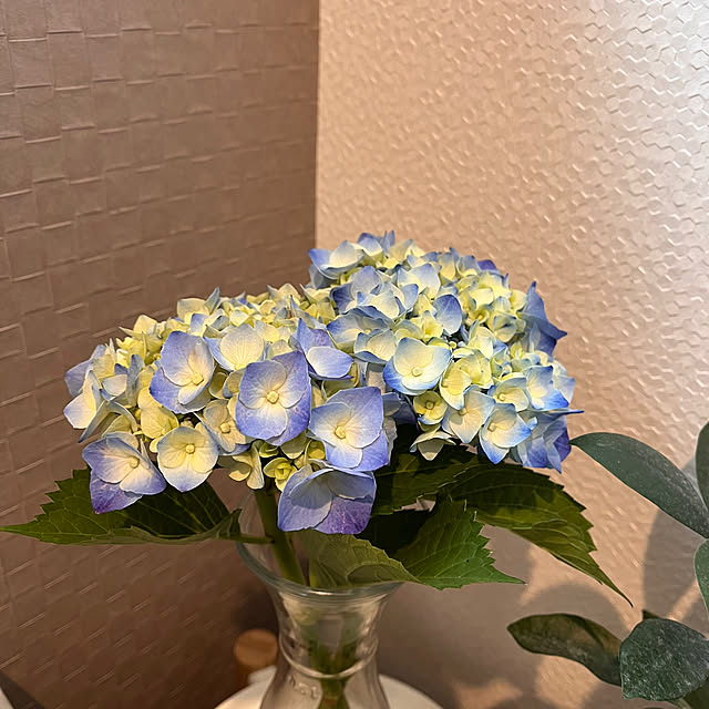 kojimasaさんの部屋