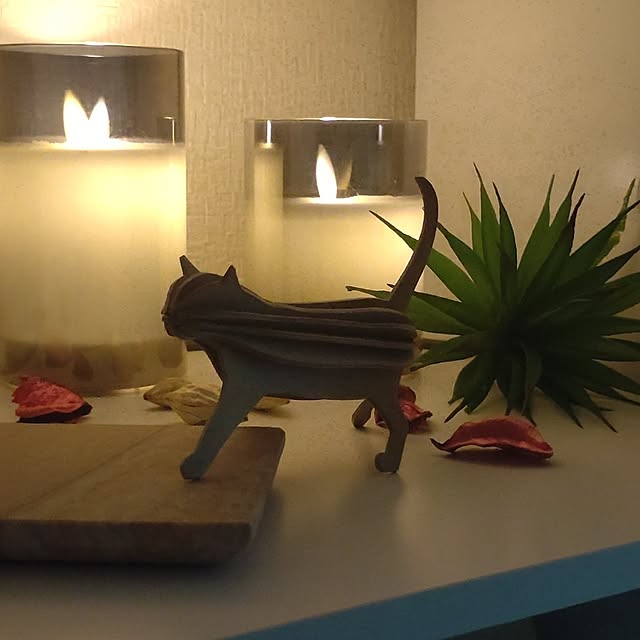 38catさんの実例写真