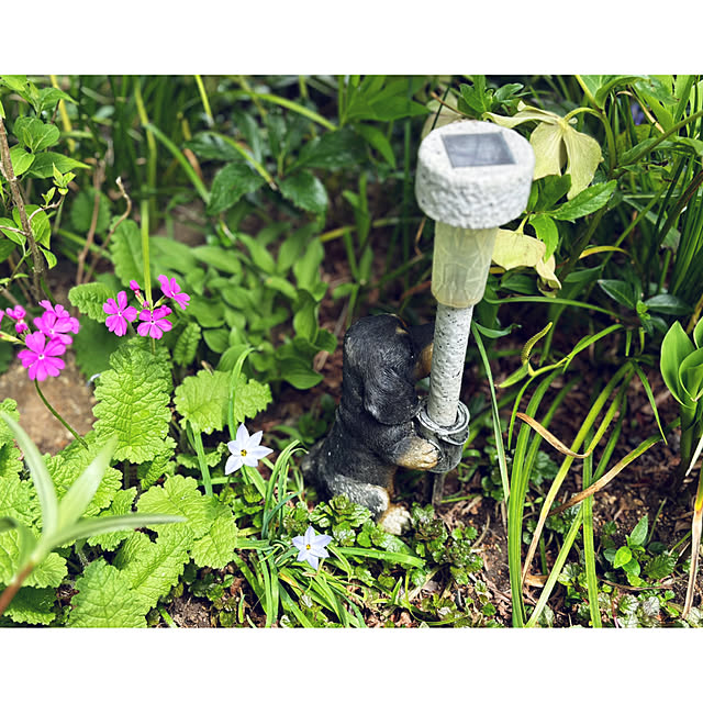CoCo0617さんの部屋