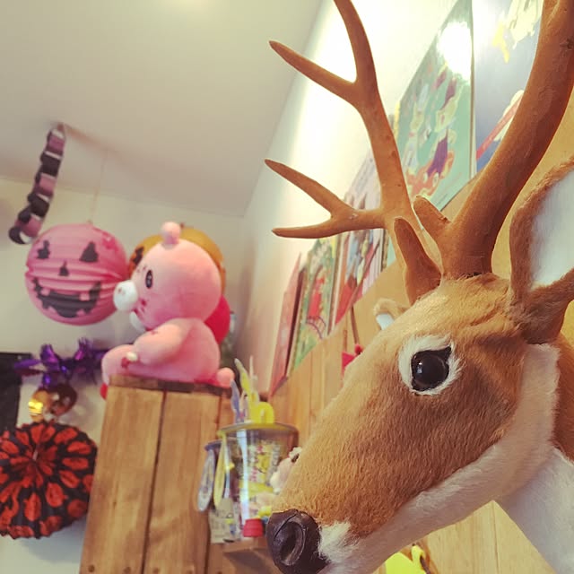 miniさんの実例写真