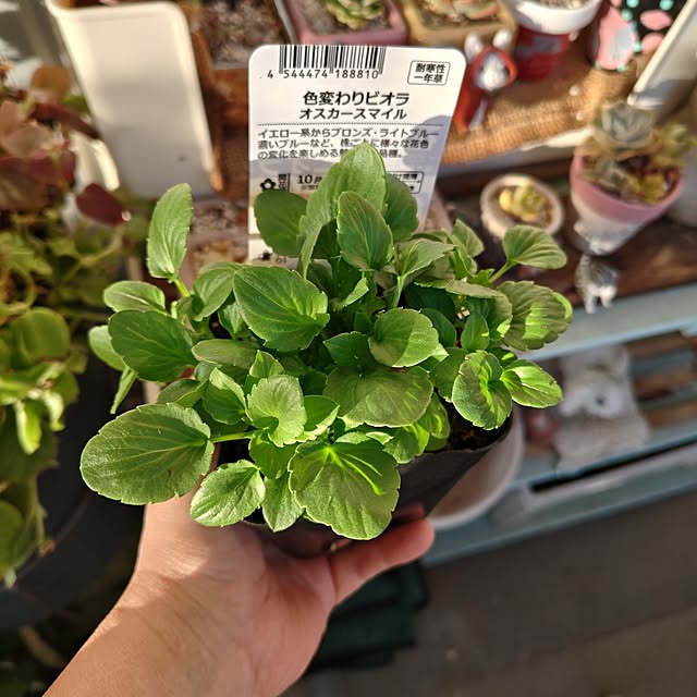 mariaさんの部屋