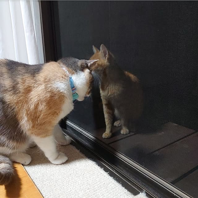 fukuさんの部屋