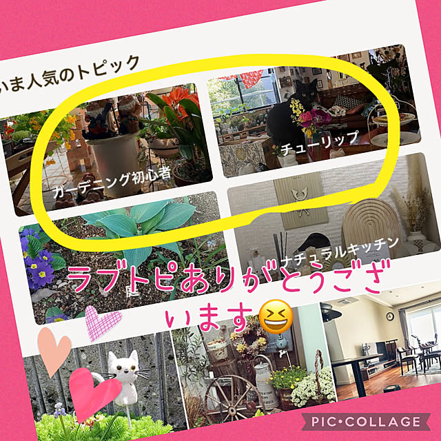 Aqettyさんの実例写真
