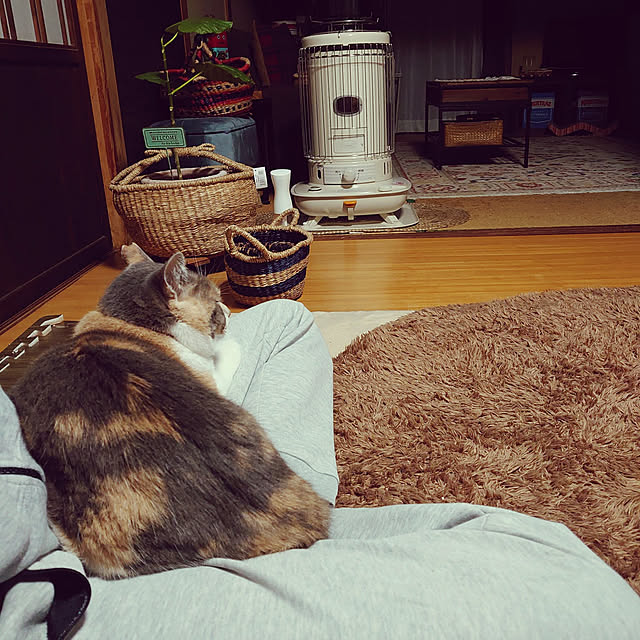 fukuさんの実例写真