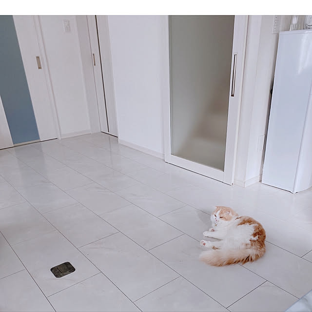 mamiriさんの実例写真