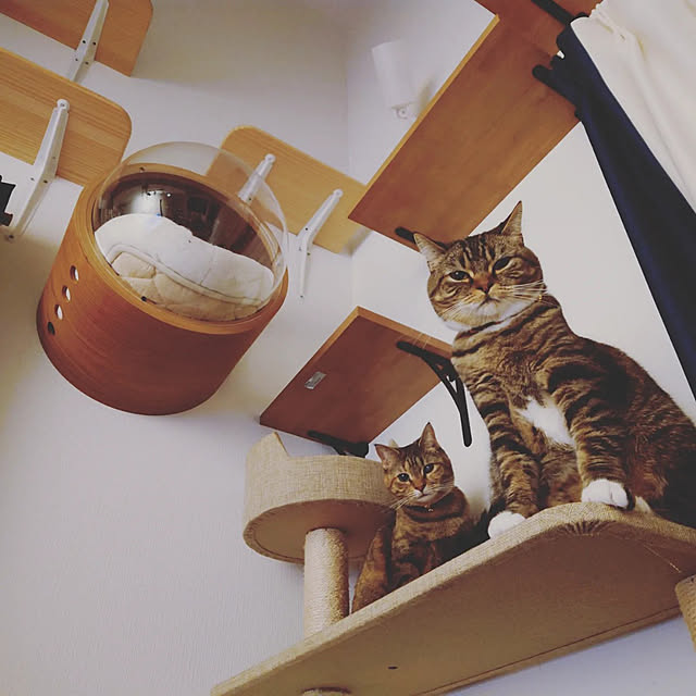 mochicoさんの実例写真