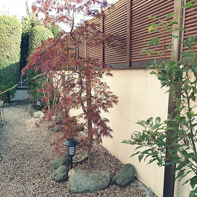 F.P.さんの実例写真