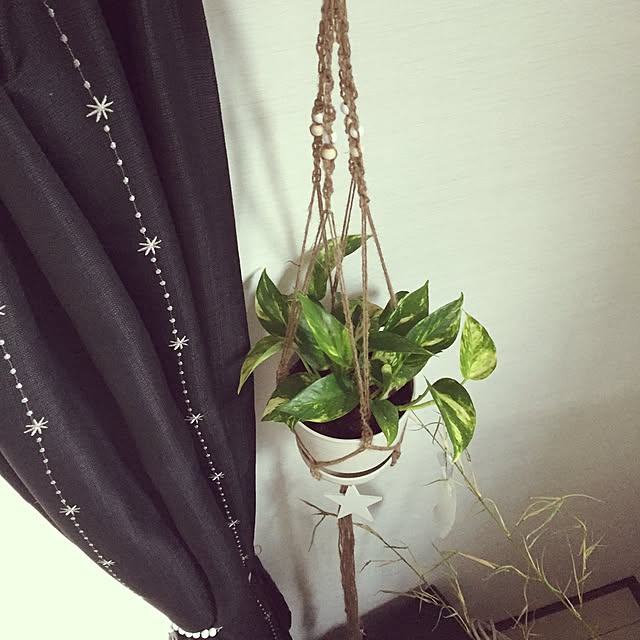 craneさんの実例写真
