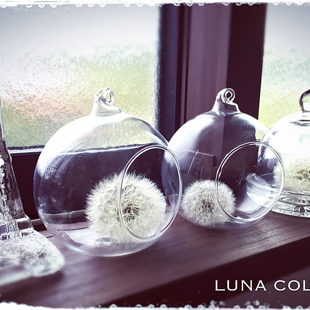 lunacolorさんの実例写真
